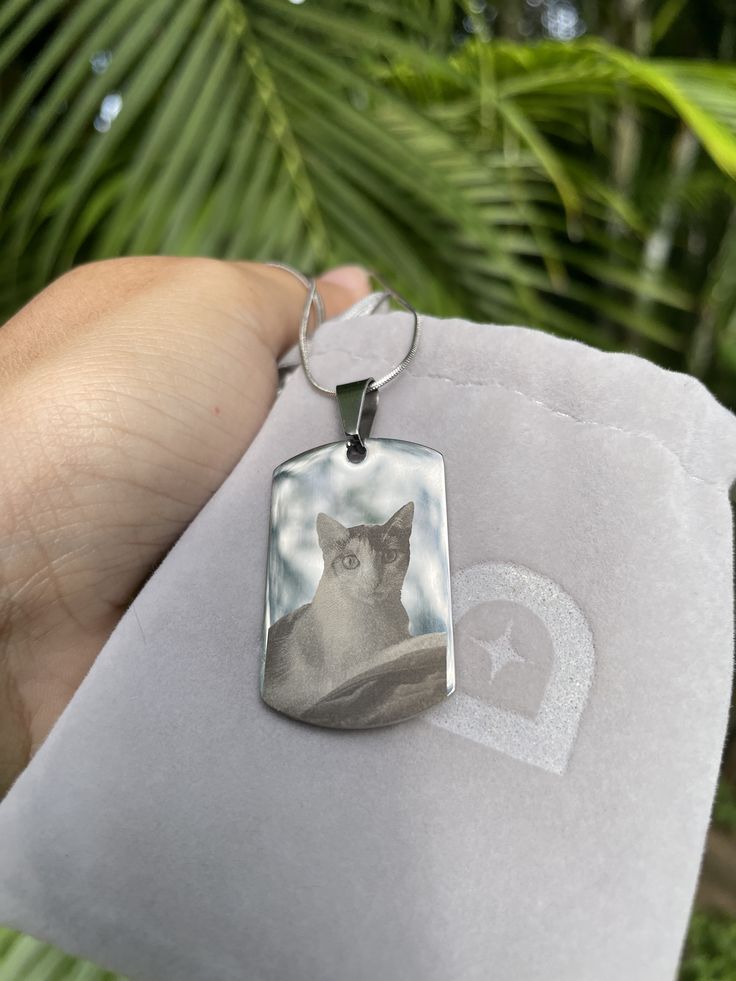 "Mi mejor amigo" Collar personalizado de mascota + box de regalo